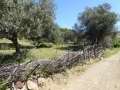 http://www.sapphoestate.com/images/listing_photos/342_P1010081.jpg