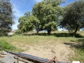 http://www.sapphoestate.com/images/listing_photos/342_P1010082.jpg