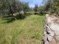 http://www.sapphoestate.com/images/listing_photos/342_P1010083.jpg