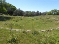 http://www.sapphoestate.com/images/listing_photos/342_P1010091.jpg
