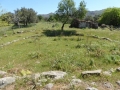 http://www.sapphoestate.com/images/listing_photos/342_P1010092.jpg