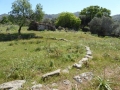 http://www.sapphoestate.com/images/listing_photos/342_P1010093.jpg