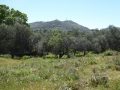 http://www.sapphoestate.com/images/listing_photos/342_P1010094.jpg
