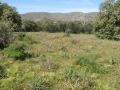http://www.sapphoestate.com/images/listing_photos/342_P1010098.jpg