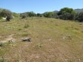http://www.sapphoestate.com/images/listing_photos/342_P1010101.jpg