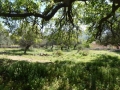 http://www.sapphoestate.com/images/listing_photos/342_P1010103.jpg