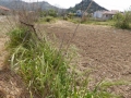 http://www.sapphoestate.com/images/listing_photos/345_P1010247.jpg
