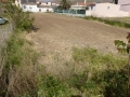 http://www.sapphoestate.com/images/listing_photos/345_P1010251.jpg
