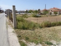 http://www.sapphoestate.com/images/listing_photos/345_P1010256.jpg