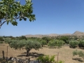 http://www.sapphoestate.com/images/listing_photos/357_P1010671.jpg