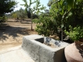http://www.sapphoestate.com/images/listing_photos/357_P1010679.jpg
