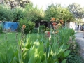 http://www.sapphoestate.com/images/listing_photos/360_P1020106.jpg