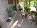 http://www.sapphoestate.com/images/listing_photos/360_P1020140.jpg