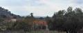 http://www.sapphoestate.com/images/listing_photos/363_P10204062.jpg