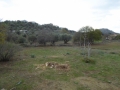 http://www.sapphoestate.com/images/listing_photos/363_P1020407.jpg