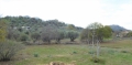 http://www.sapphoestate.com/images/listing_photos/363_P10204072.jpg
