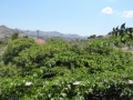 http://www.sapphoestate.com/images/listing_photos/364_P1020060.jpg