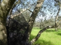 http://www.sapphoestate.com/images/listing_photos/366_P1020457.jpg