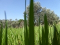 http://www.sapphoestate.com/images/listing_photos/366_P1020459.jpg