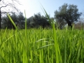 http://www.sapphoestate.com/images/listing_photos/366_P1020471.jpg