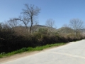 http://www.sapphoestate.com/images/listing_photos/366_P1020479.jpg