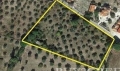 http://www.sapphoestate.com/images/listing_photos/366_remote15.jpg
