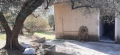 http://www.sapphoestate.com/images/listing_photos/386_20201117_144516.jpg