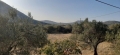http://www.sapphoestate.com/images/listing_photos/386_20201117_145016.jpg