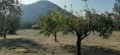 http://www.sapphoestate.com/images/listing_photos/386_20201117_145912.jpg