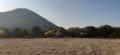 http://www.sapphoestate.com/images/listing_photos/386_20201117_150243.jpg