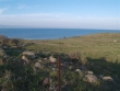 http://www.sapphoestate.com/images/listing_photos/45_p1062394.jpg
