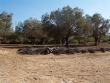http://www.sapphoestate.com/images/listing_photos/47_p7317215.jpg