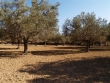 http://www.sapphoestate.com/images/listing_photos/47_p7317216.jpg