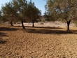 http://www.sapphoestate.com/images/listing_photos/47_p7317218.jpg