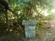 http://www.sapphoestate.com/images/listing_photos/4_dsc04986.jpg