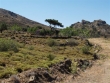 http://www.sapphoestate.com/images/listing_photos/53_p4043984.jpg
