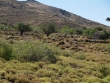 http://www.sapphoestate.com/images/listing_photos/53_p4043985.jpg