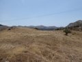 http://www.sapphoestate.com/images/listing_photos/54_P1010645.jpg