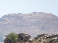 http://www.sapphoestate.com/images/listing_photos/54_P1010647.jpg