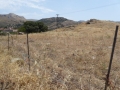 http://www.sapphoestate.com/images/listing_photos/54_P1010649.jpg