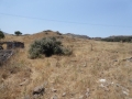 http://www.sapphoestate.com/images/listing_photos/54_P1010650.jpg