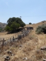 http://www.sapphoestate.com/images/listing_photos/54_P1010651.jpg