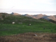 http://www.sapphoestate.com/images/listing_photos/54_p9148104.jpg