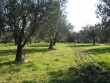 http://www.sapphoestate.com/images/listing_photos/57_pc048981.jpg