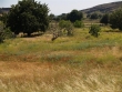 http://www.sapphoestate.com/images/listing_photos/62_p3150813.jpg