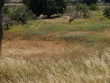 http://www.sapphoestate.com/images/listing_photos/62_p3150814.jpg