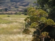 http://www.sapphoestate.com/images/listing_photos/62_p3150817.jpg