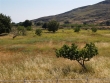 http://www.sapphoestate.com/images/listing_photos/62_p3150819.jpg