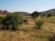 http://www.sapphoestate.com/images/listing_photos/62_p3150820.jpg