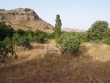 http://www.sapphoestate.com/images/listing_photos/65_p5172073.jpg